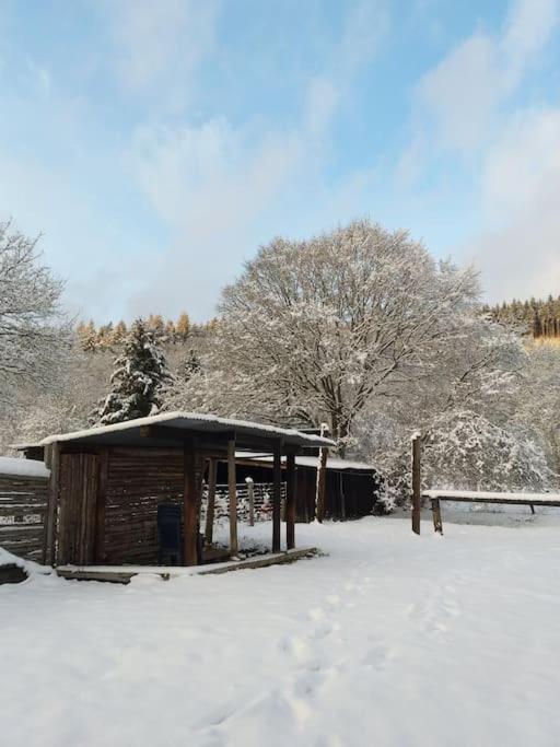 Charmante Maison De Caractere A 2Km De Redu Libin Exteriér fotografie