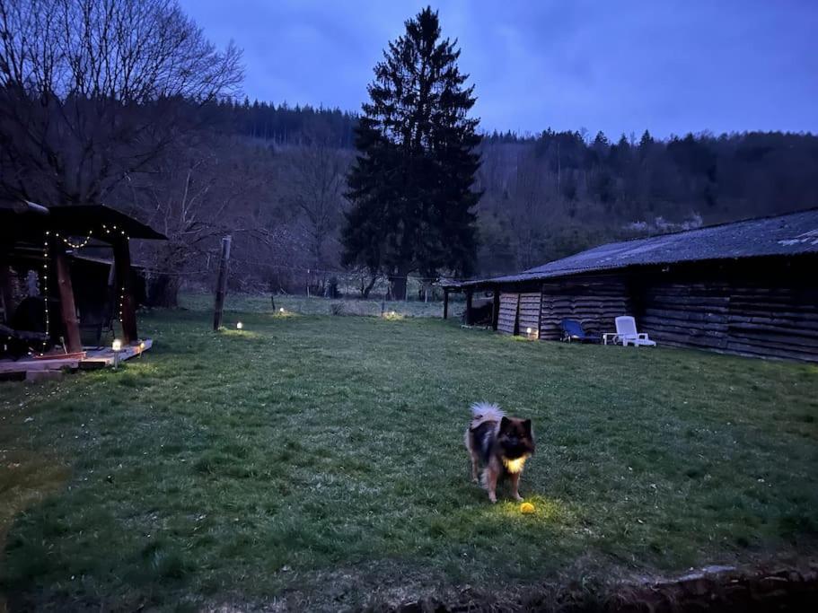 Charmante Maison De Caractere A 2Km De Redu Libin Exteriér fotografie