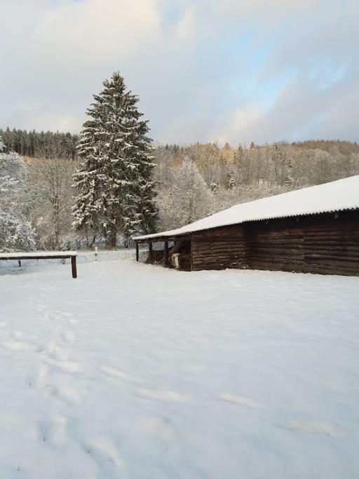 Charmante Maison De Caractere A 2Km De Redu Libin Exteriér fotografie